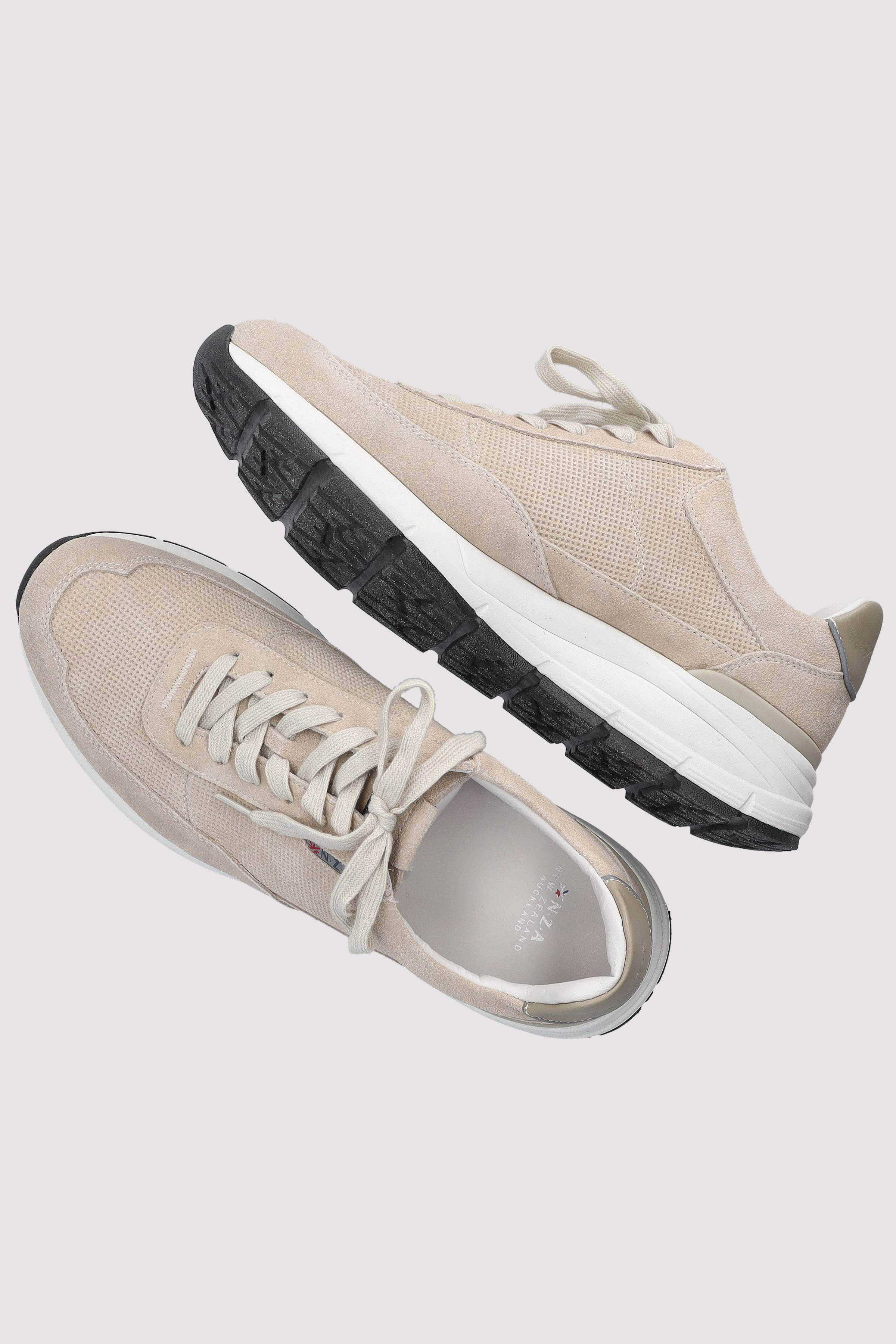 New Zealand Auckland - Flynn