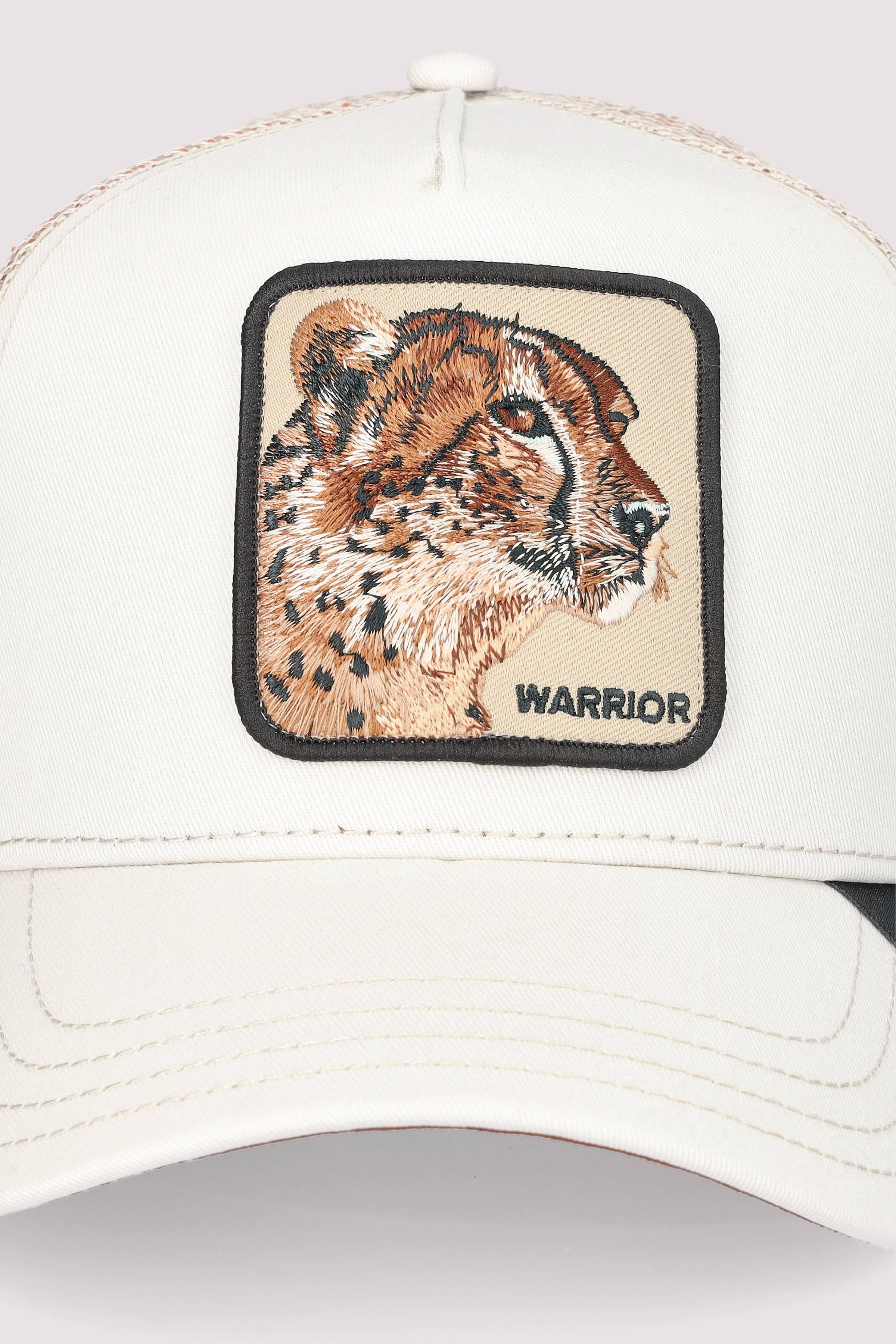 The Warrior Cheetah