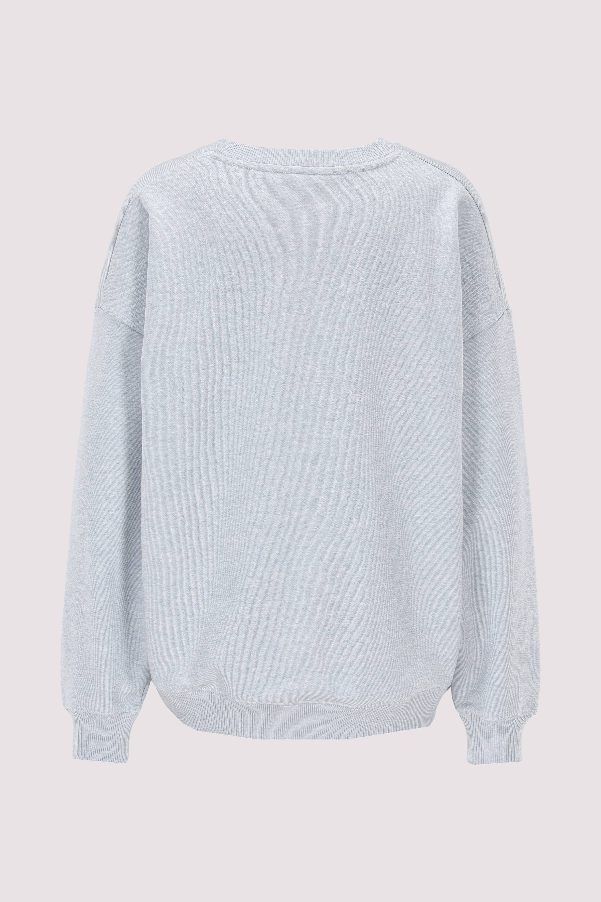 BOXY OUTLINE FLAG C-NK SWTSHRT