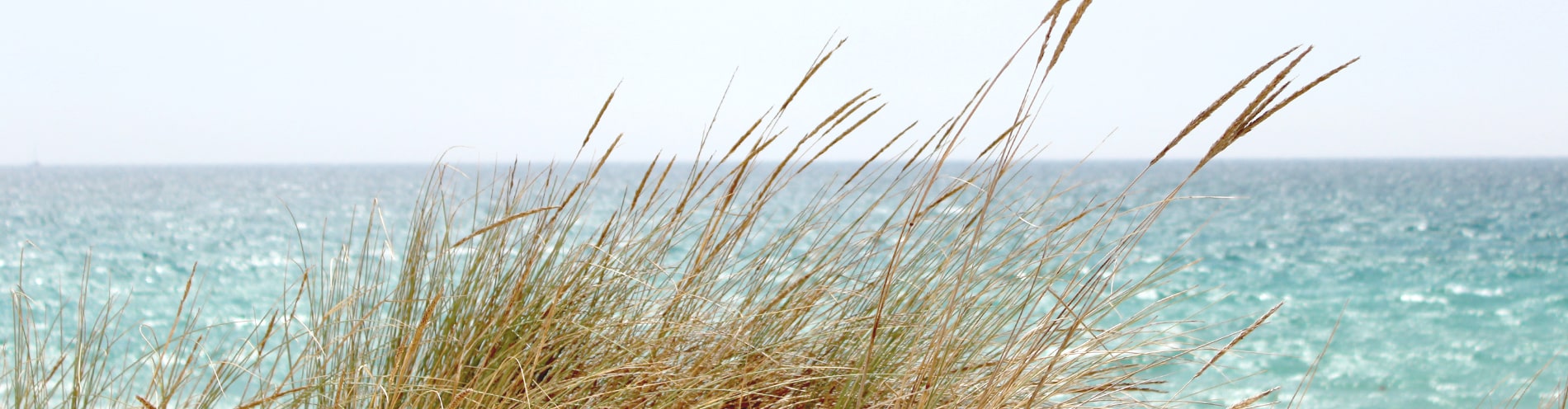 Düne und Ostsee