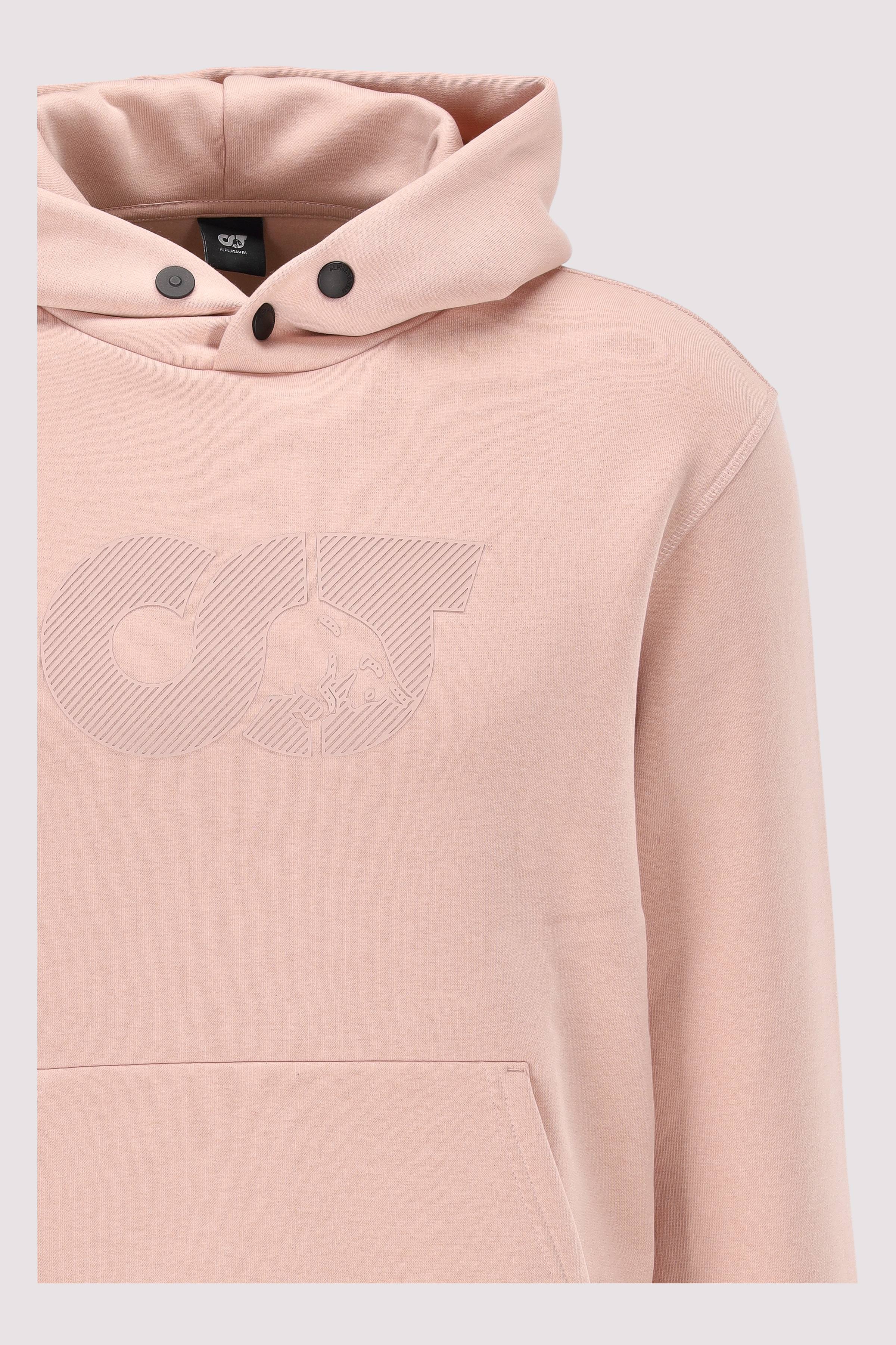 AlphaTauri - m sweater shero