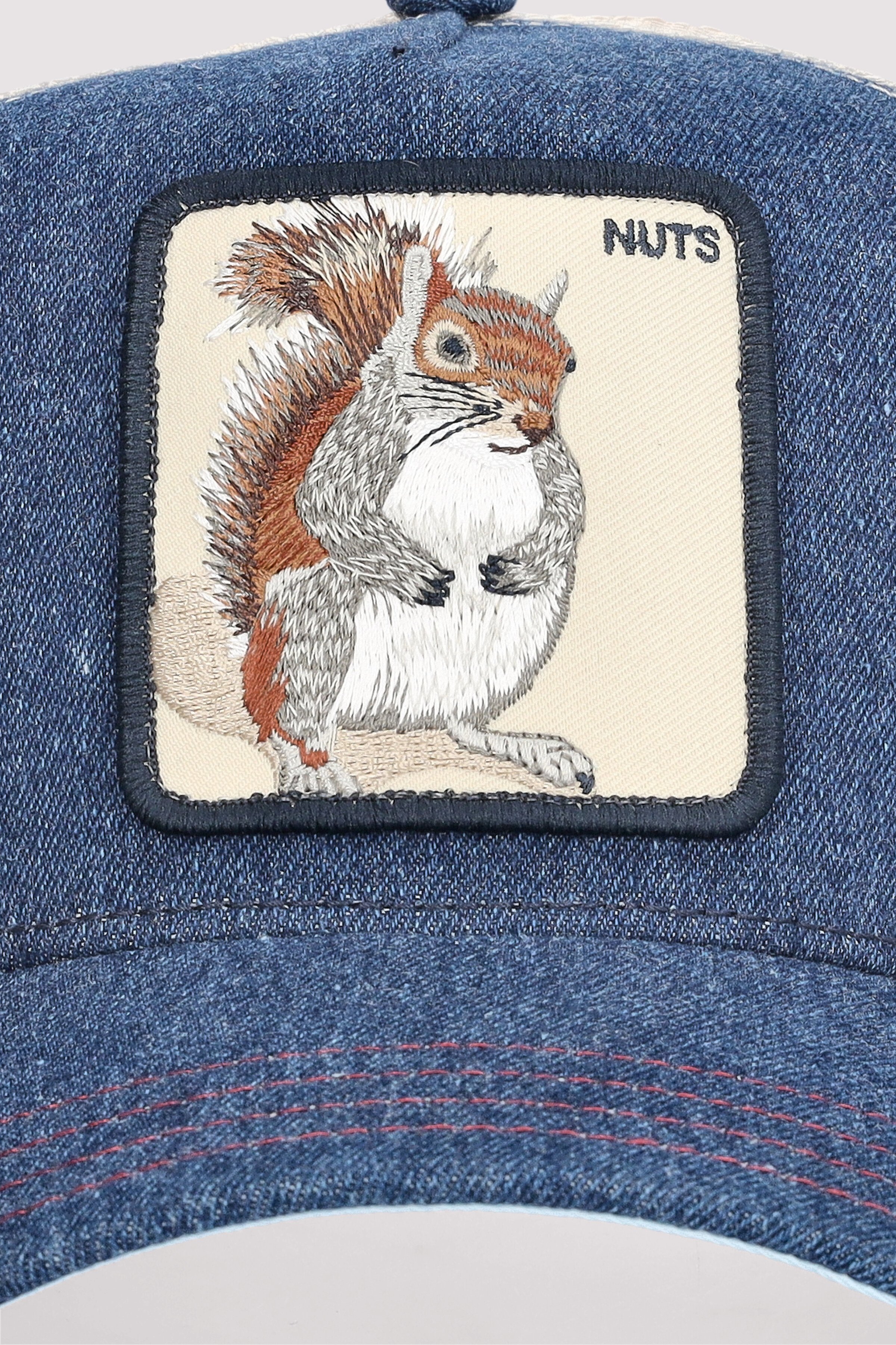 The Nuts Squirrel
