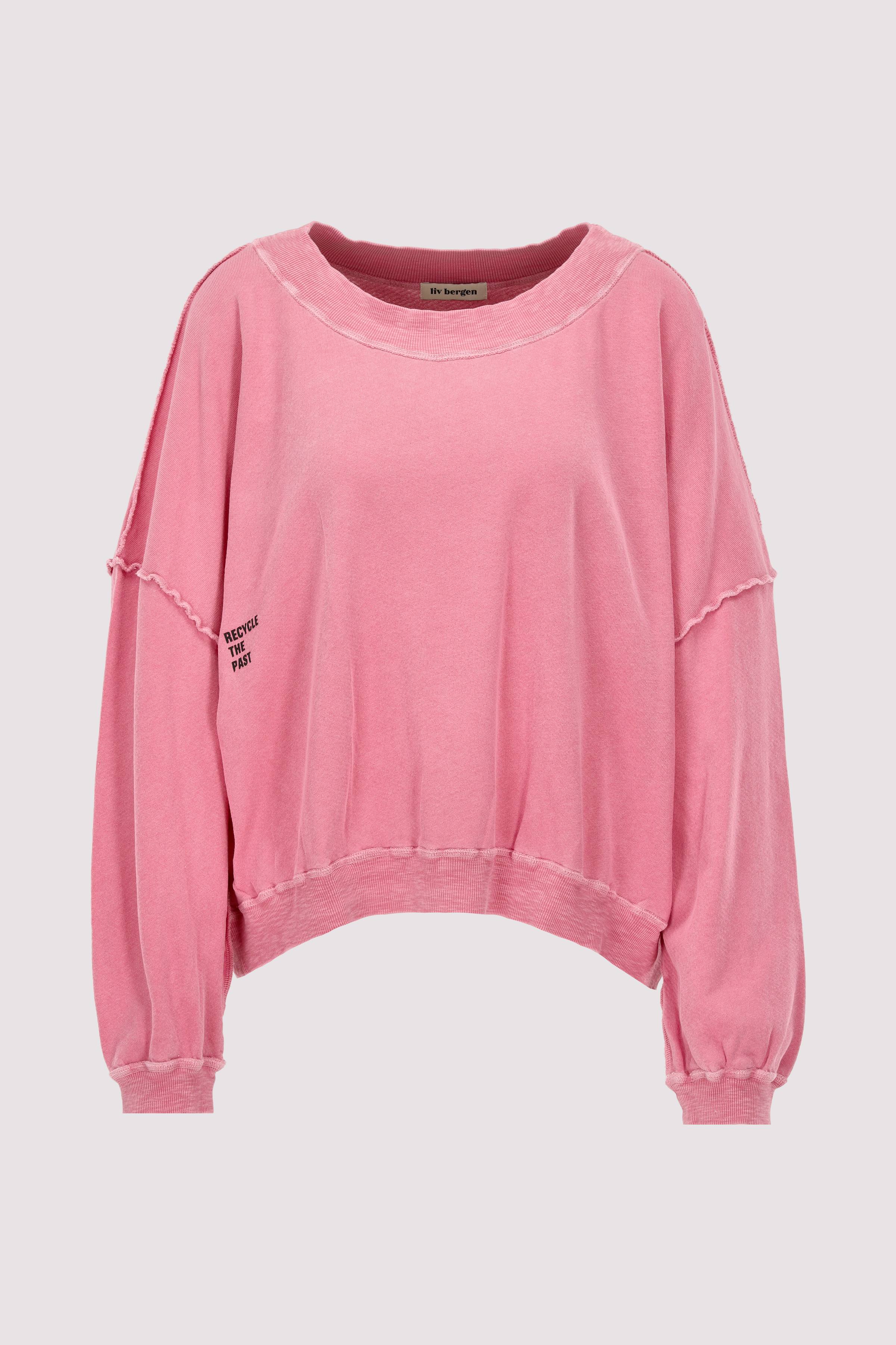 Sweatshirt Organic