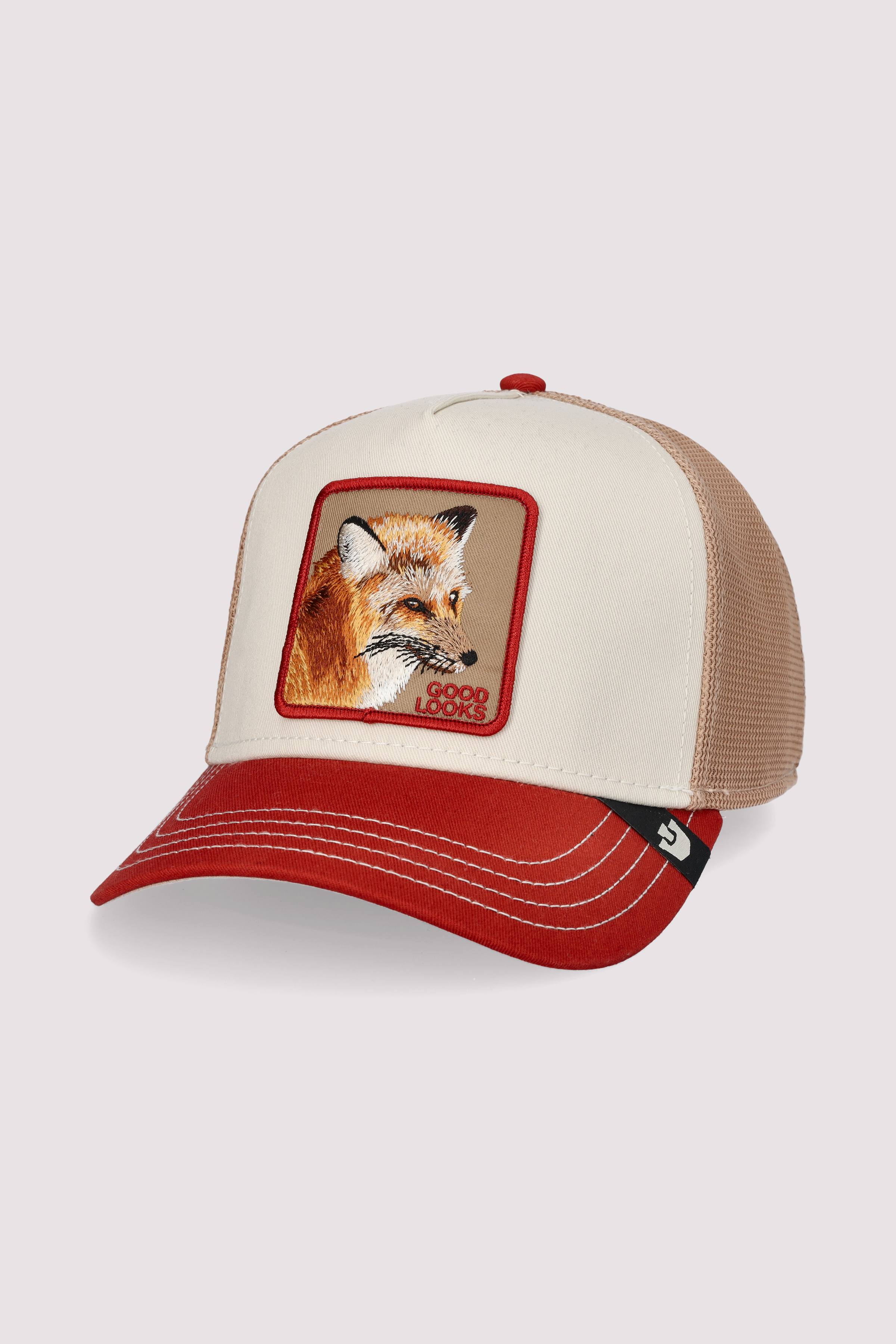 Tricolor Fox