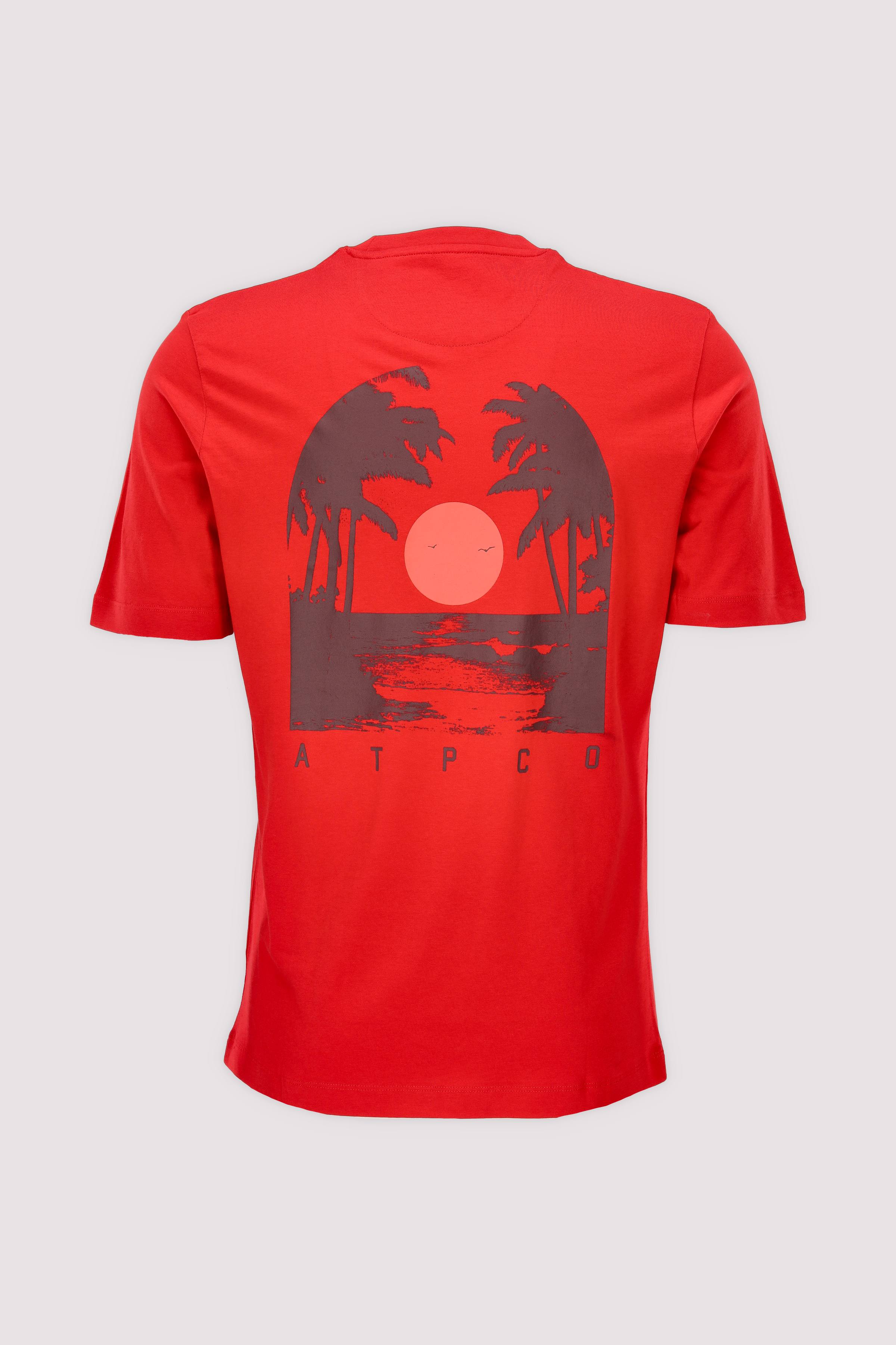 Kurzarm-T-Shirt AT.P.CO Herren