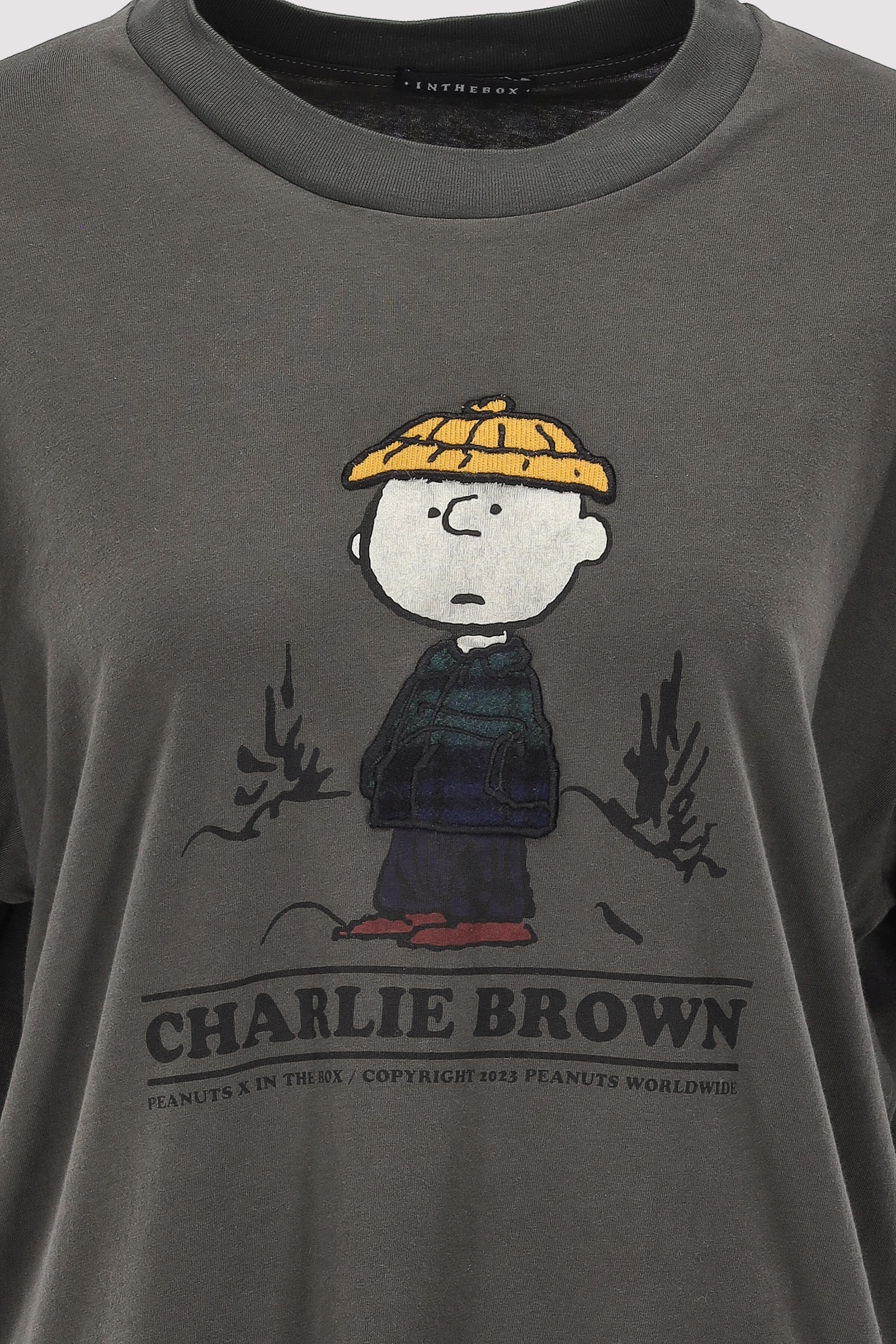 IN THE BOX - T-Shirt Charlie Brown IN THE BOX - T-Shirt Charlie Brown