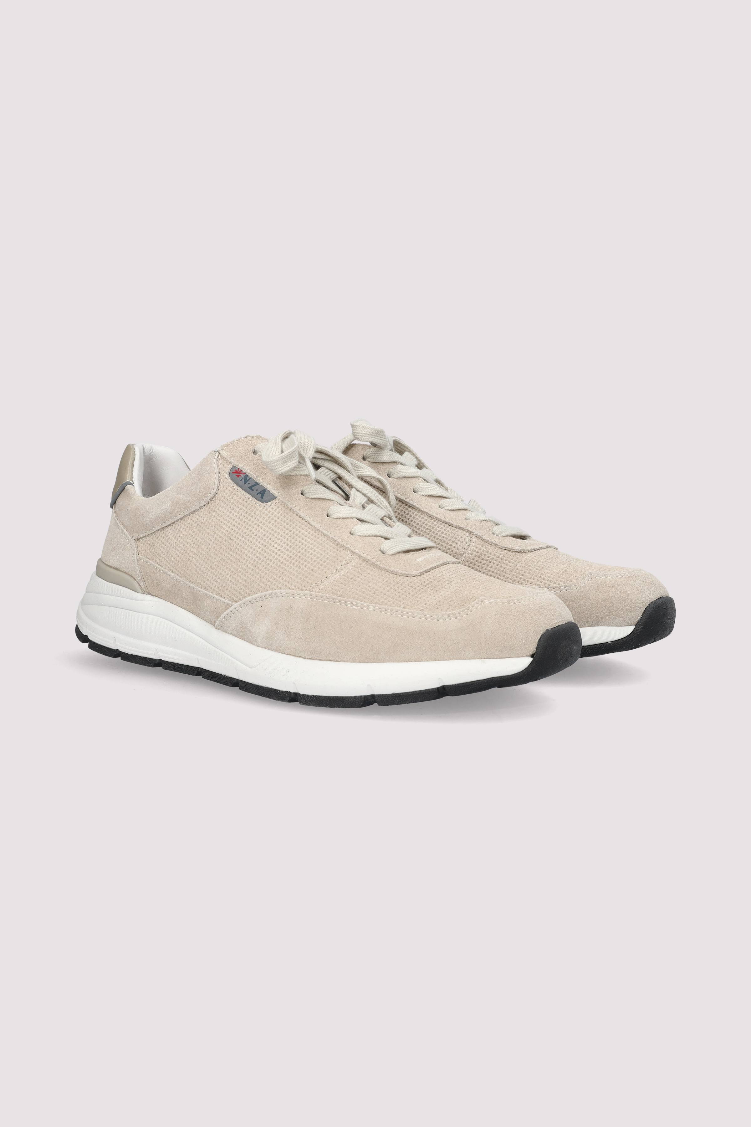 New Zealand Auckland - Flynn