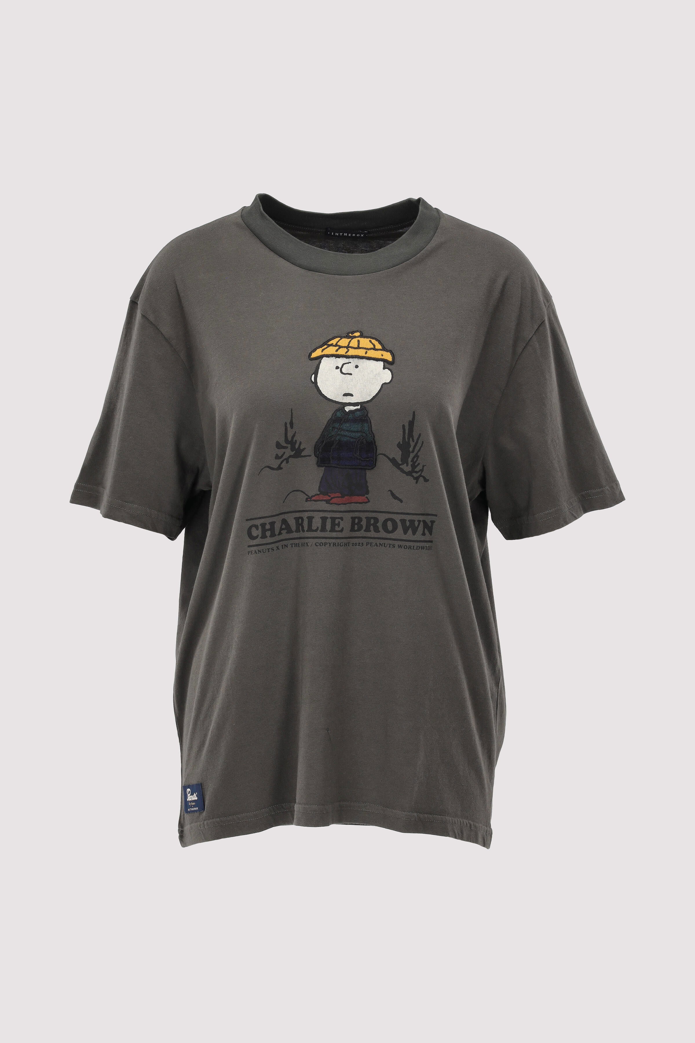IN THE BOX - T-Shirt Charlie Brown IN THE BOX - T-Shirt Charlie Brown