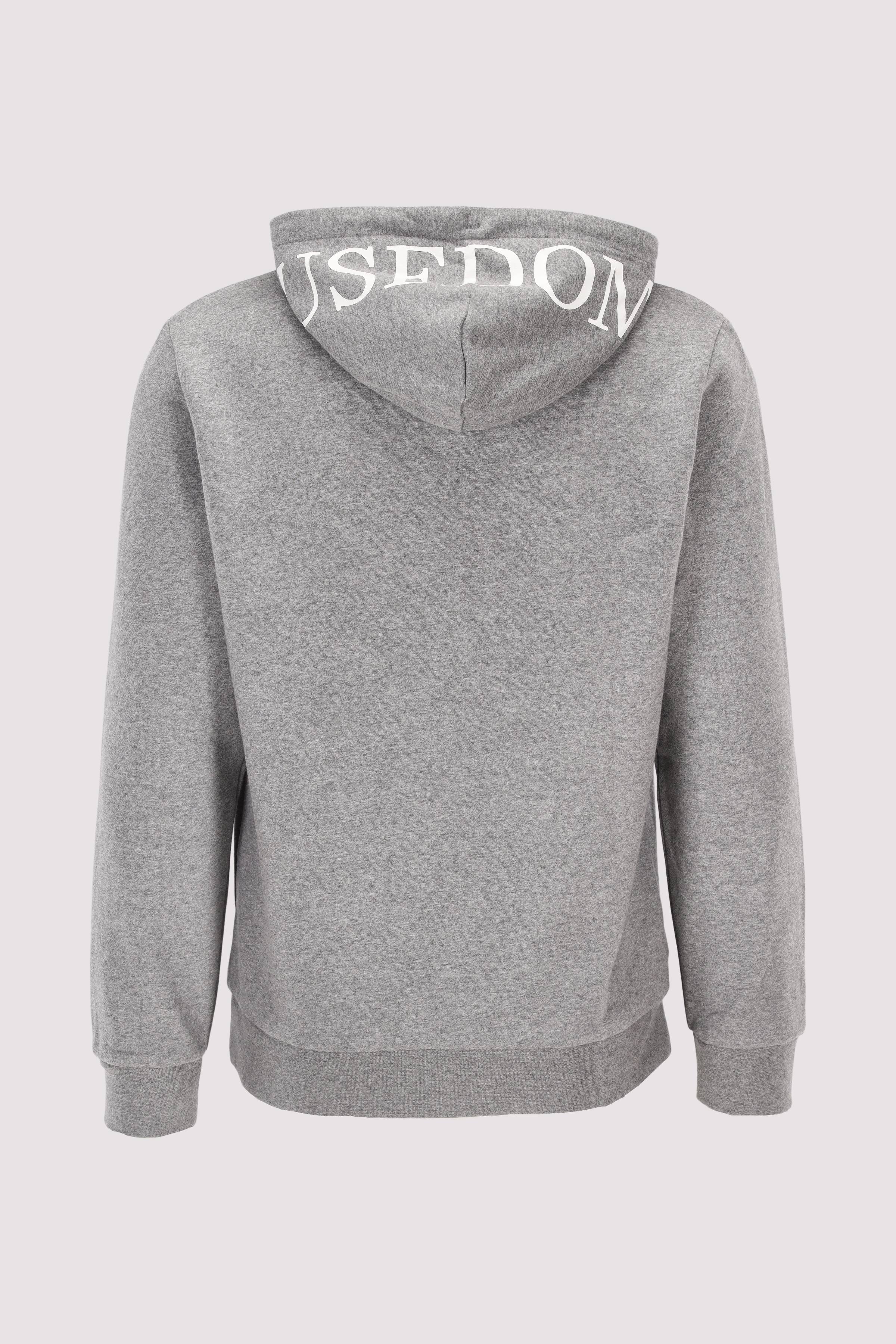 Sweatshirt with Hood, Print Ar