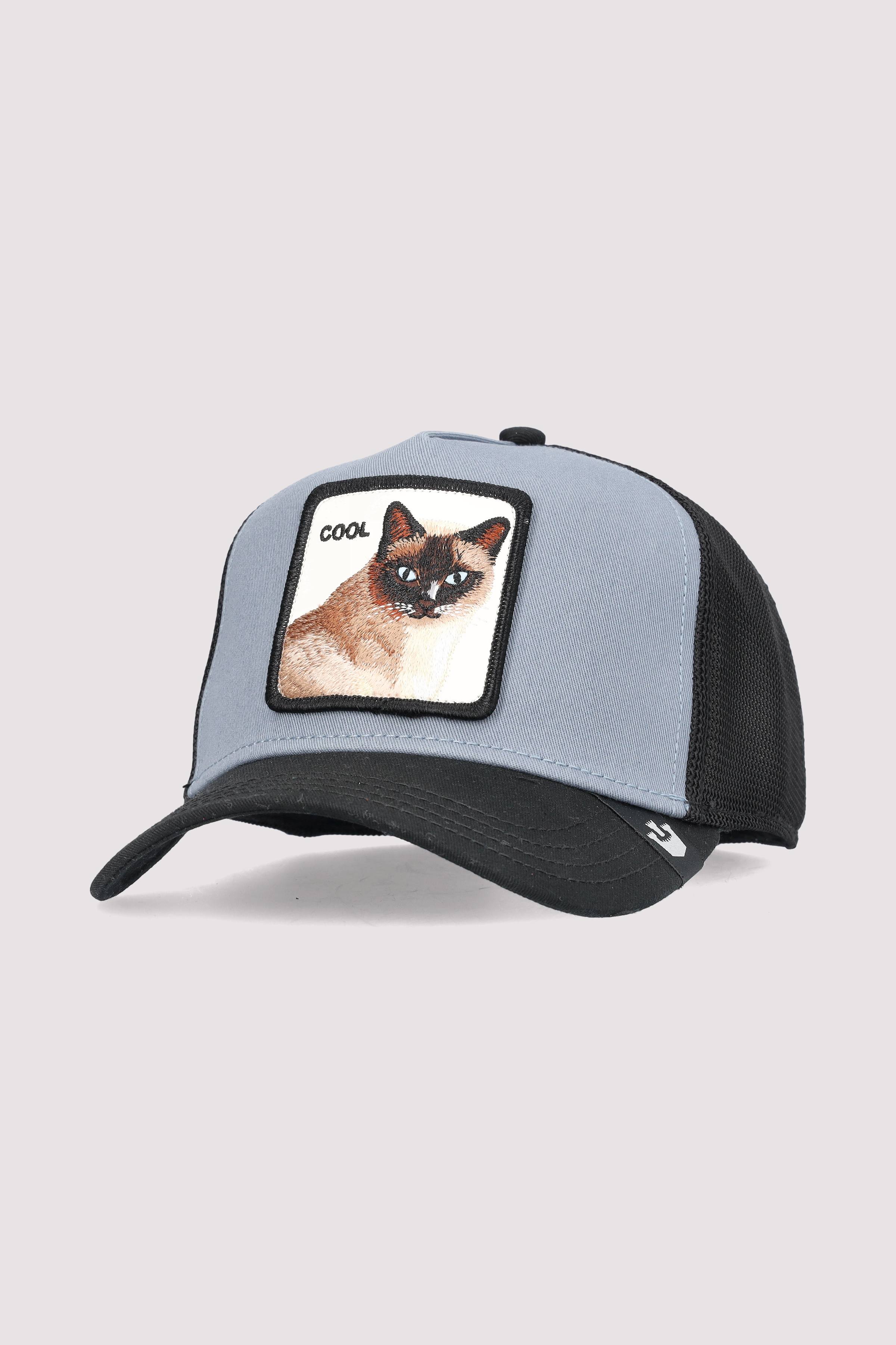 Goorin Bros. - V2 Cool Cat