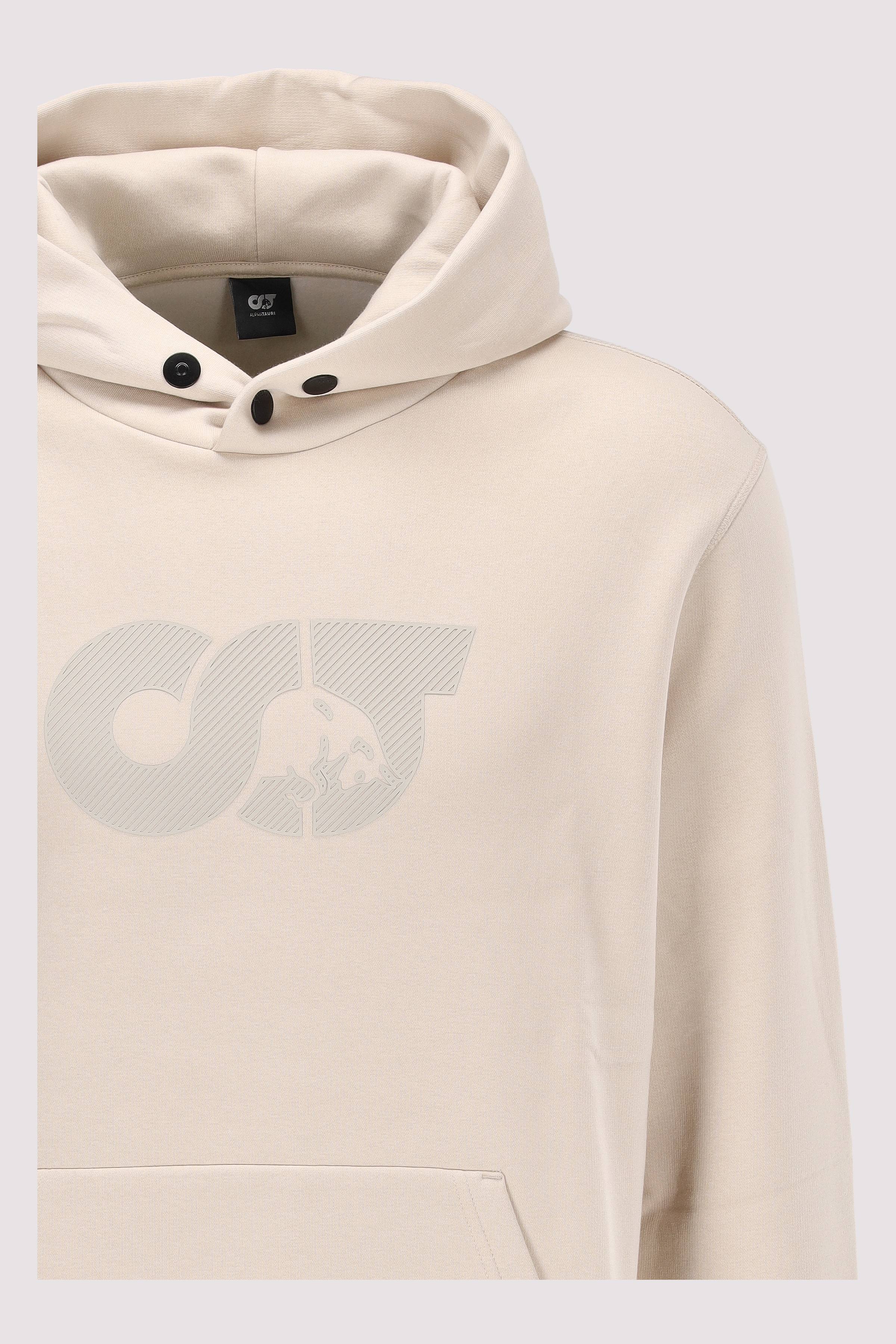 AlphaTauri - m sweater shero