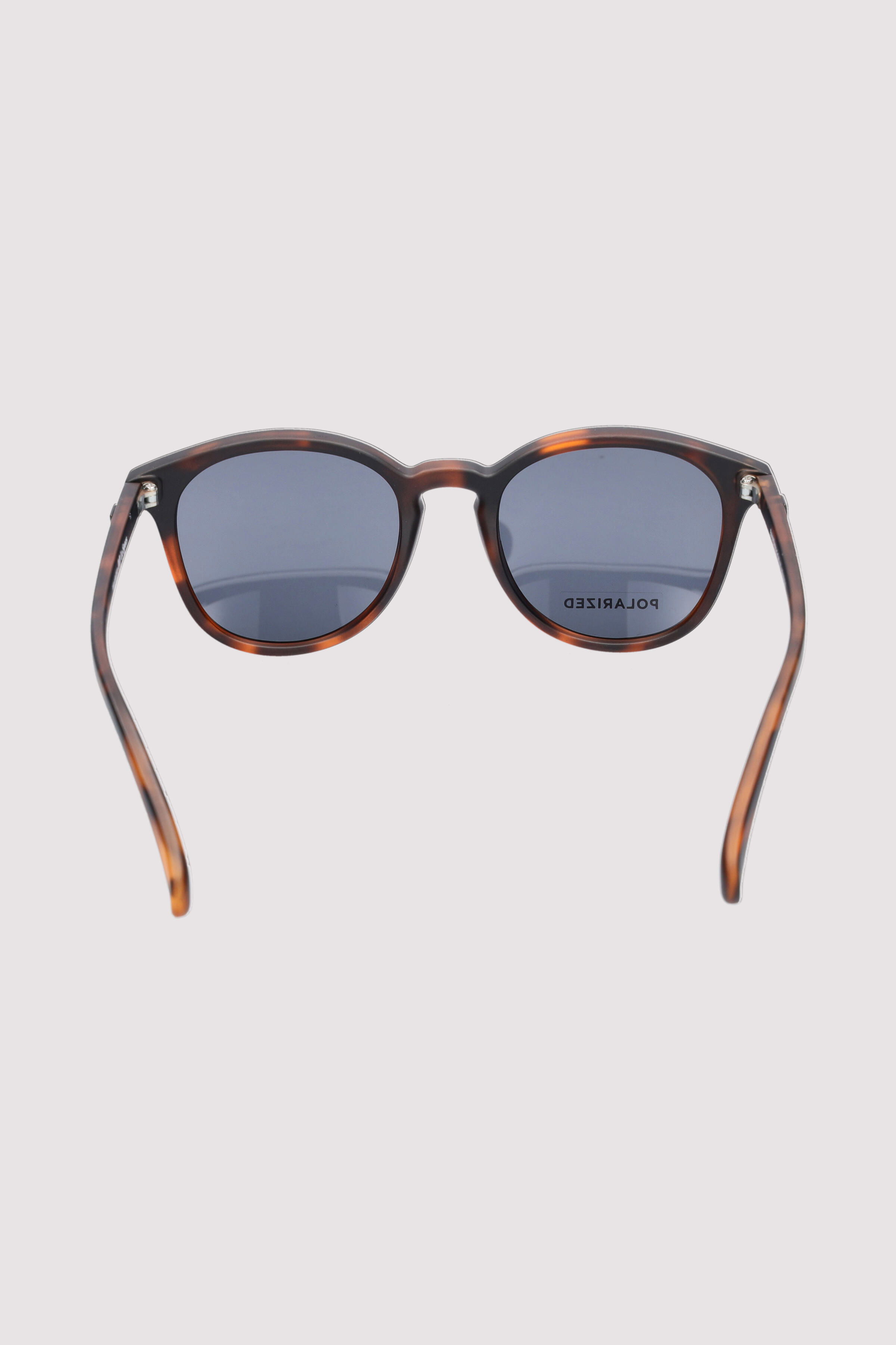 Le Specs - Bandwagon Le Specs - Bandwagon