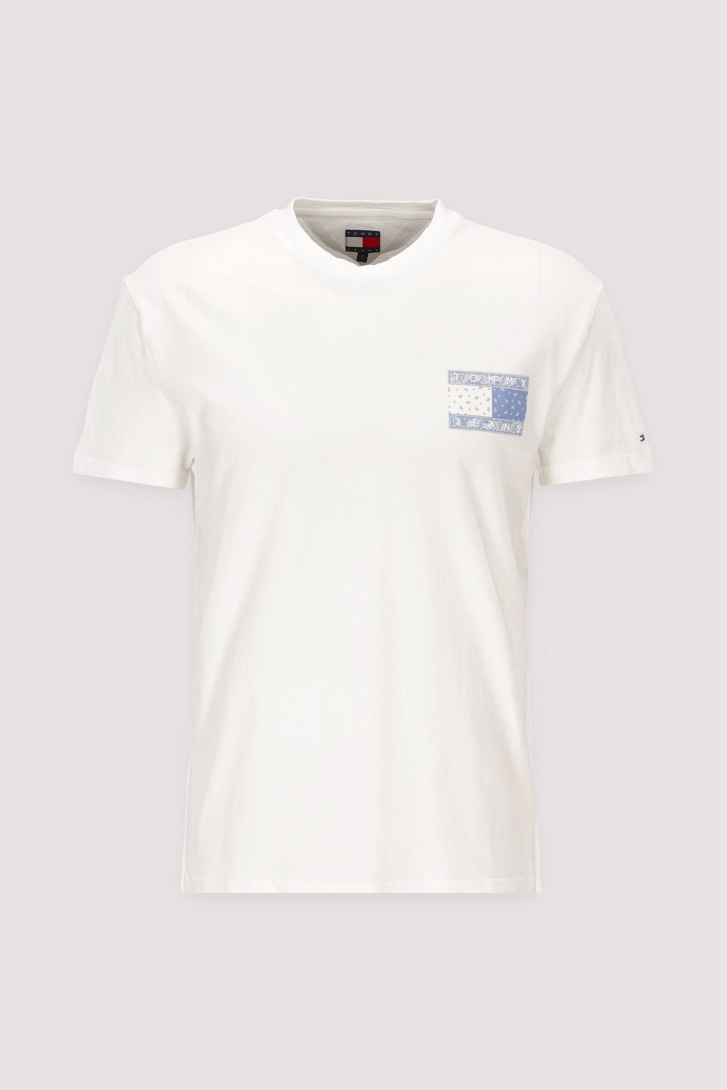 TJM REG PAISLEY FLAG TEE EXT