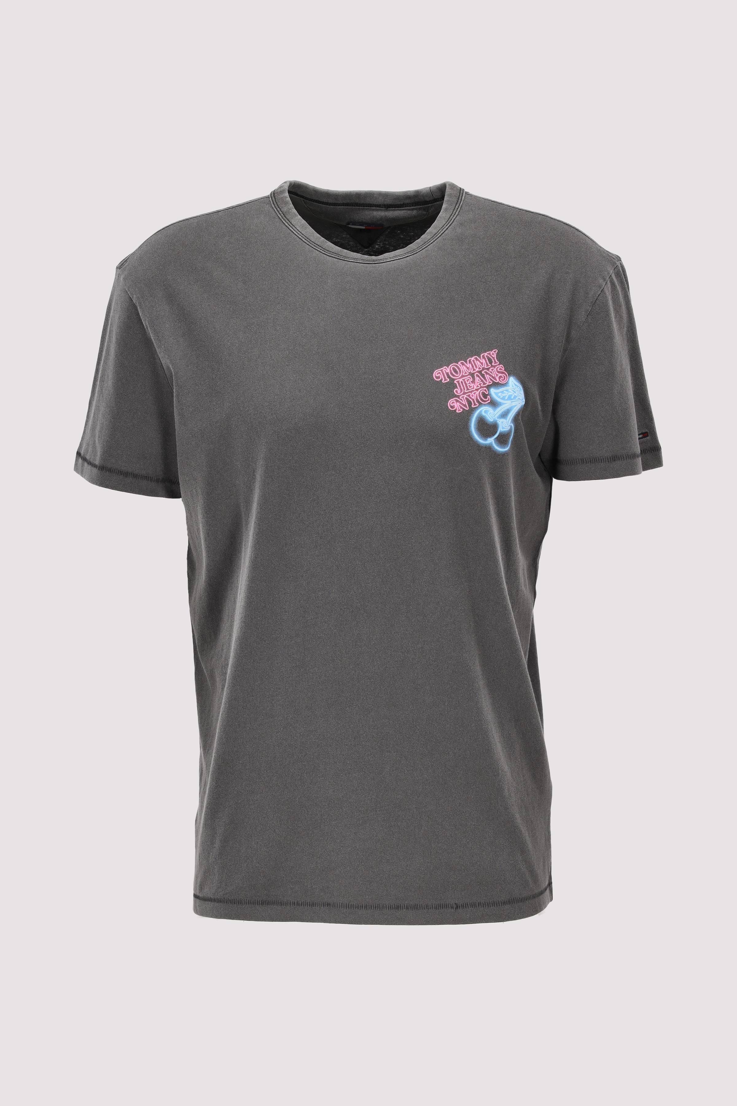 TJM REG NOVELTY FAIR TEE EXT
