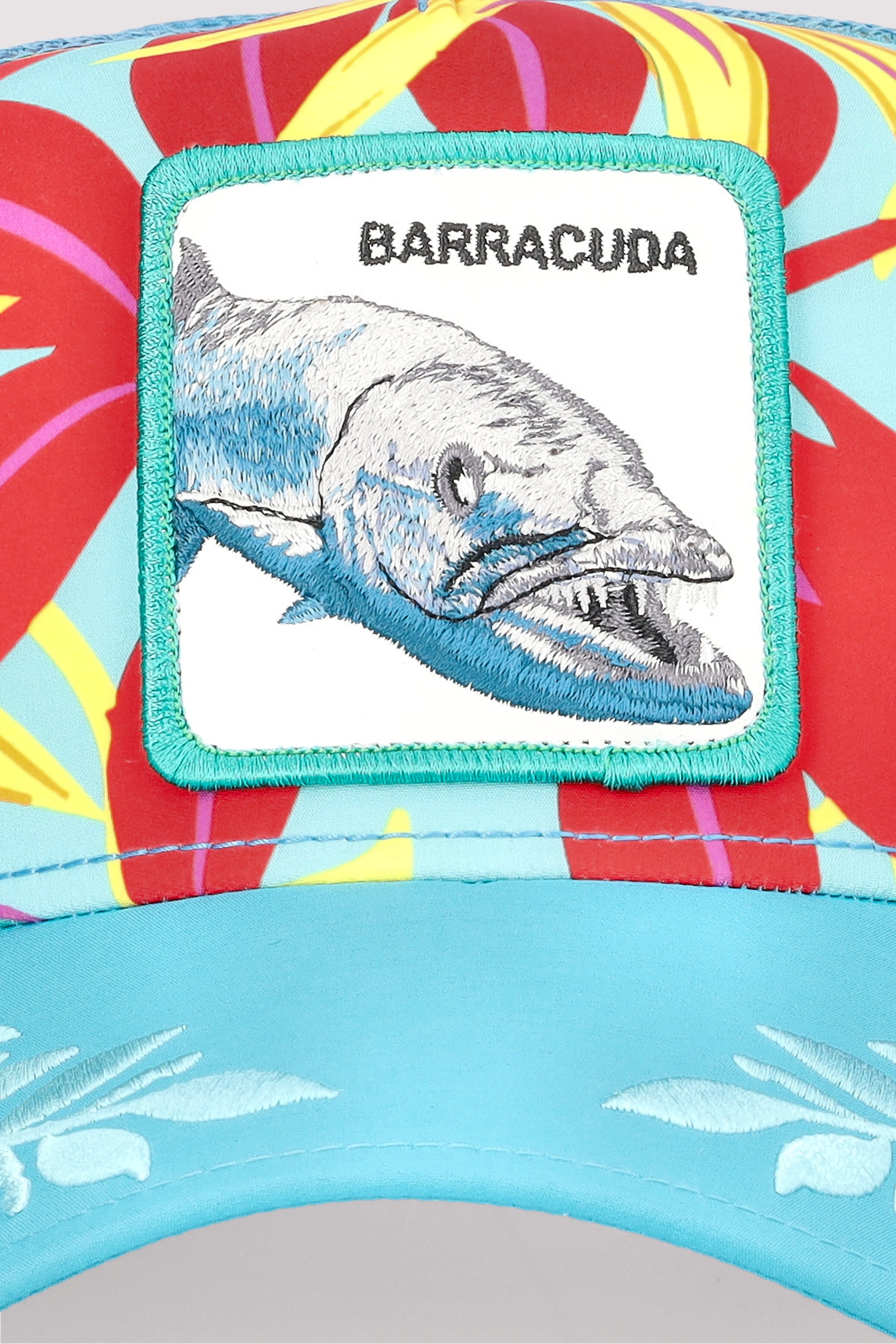 Ooh Barracuda