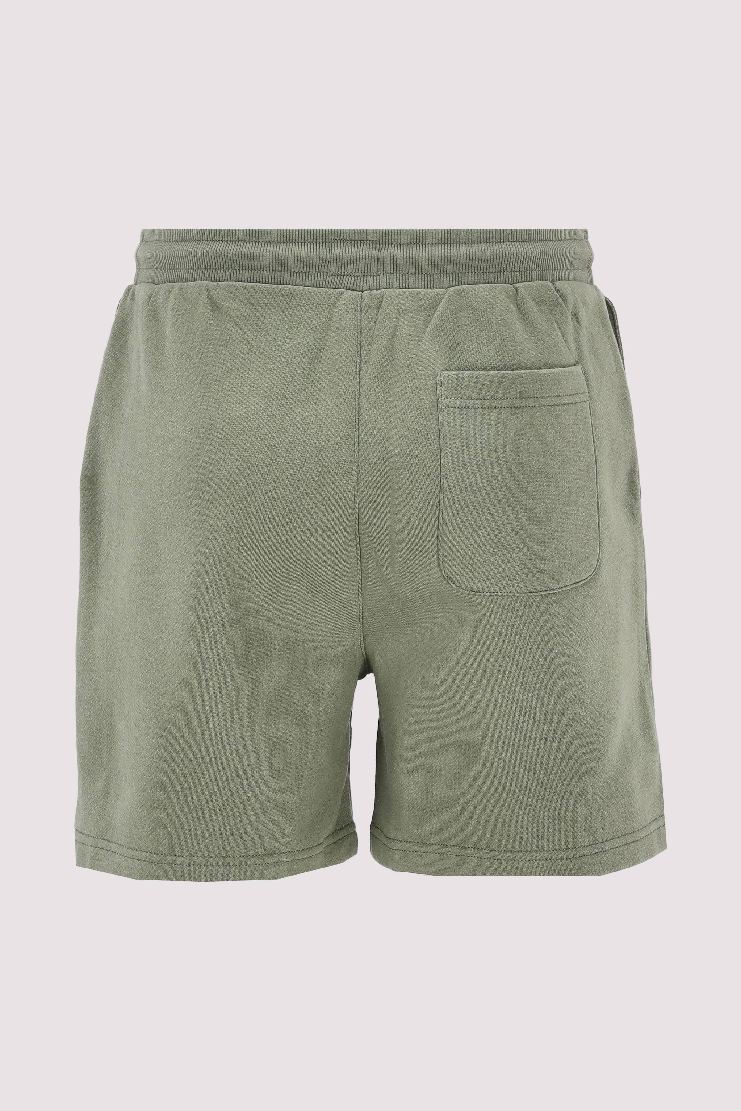 TJM S FLAG BEACH SHORT EXT