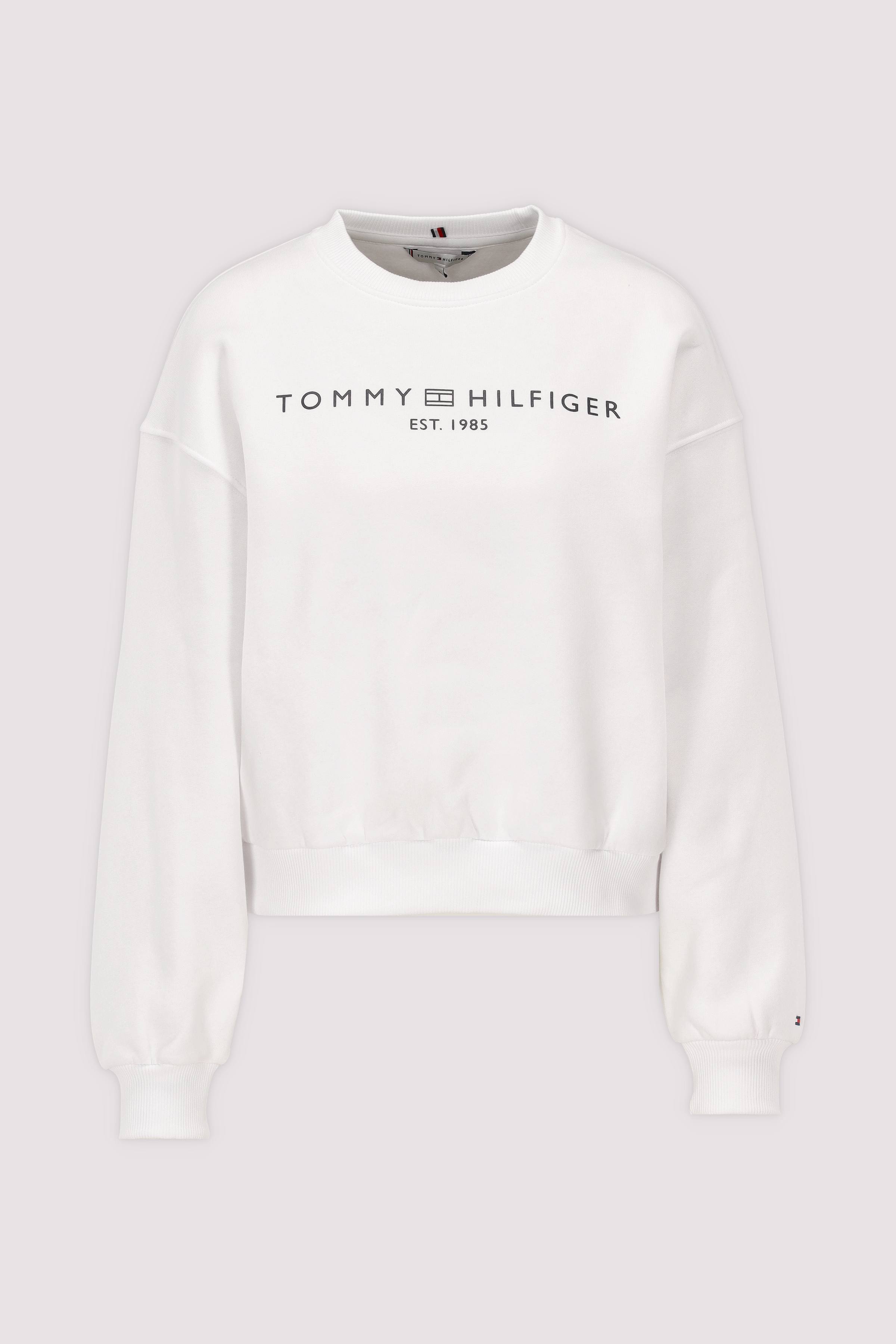 EXT CORP LOGO MDRN SWTSRT