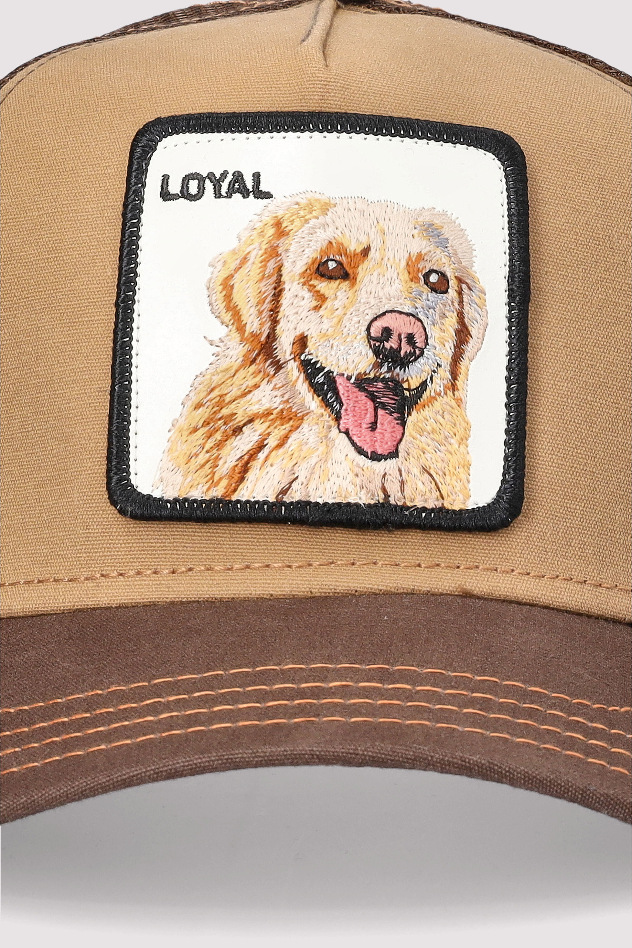 Goorin Bros. - The Loyal Dog