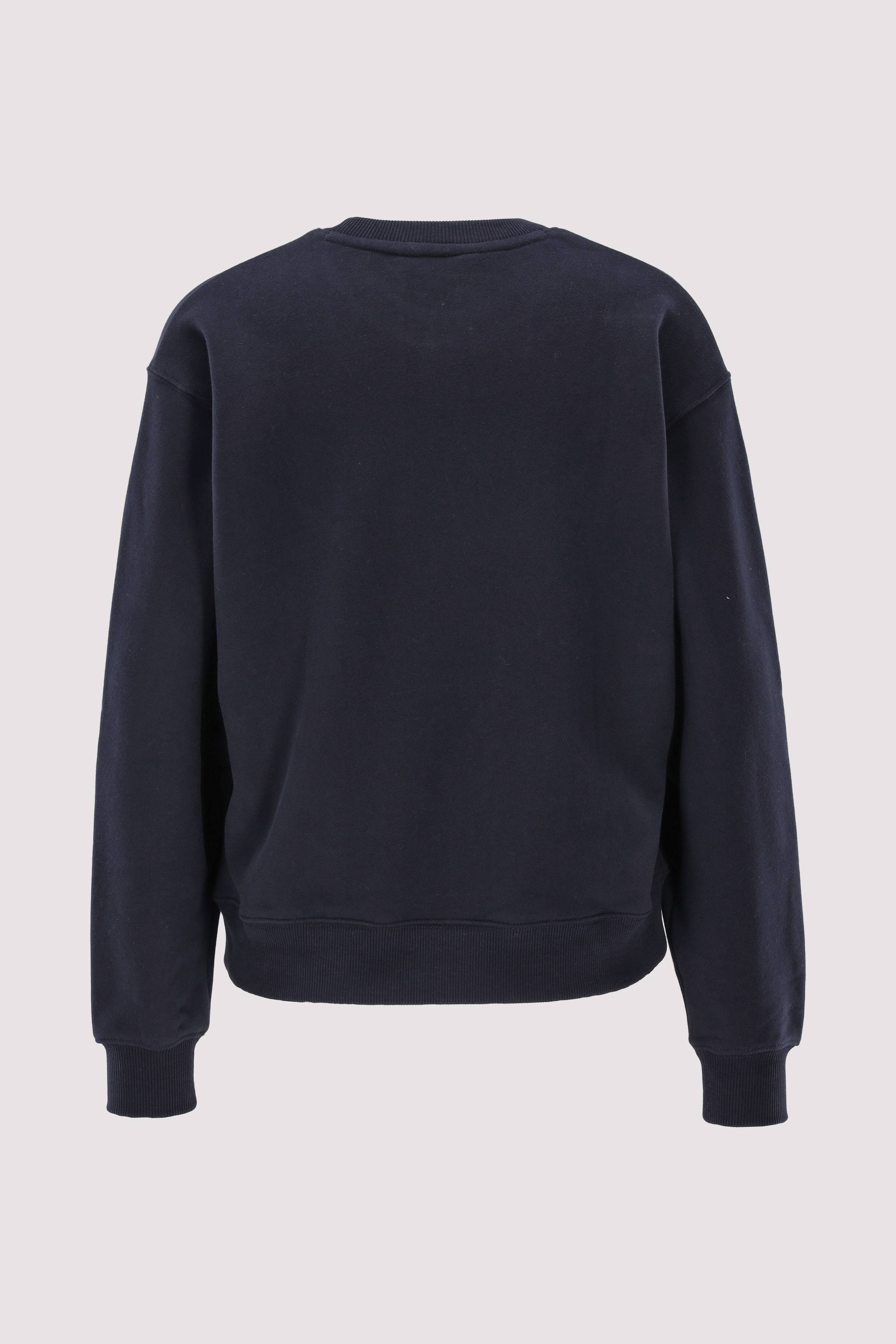 REG FLAG ON CHEST SWTSHRT