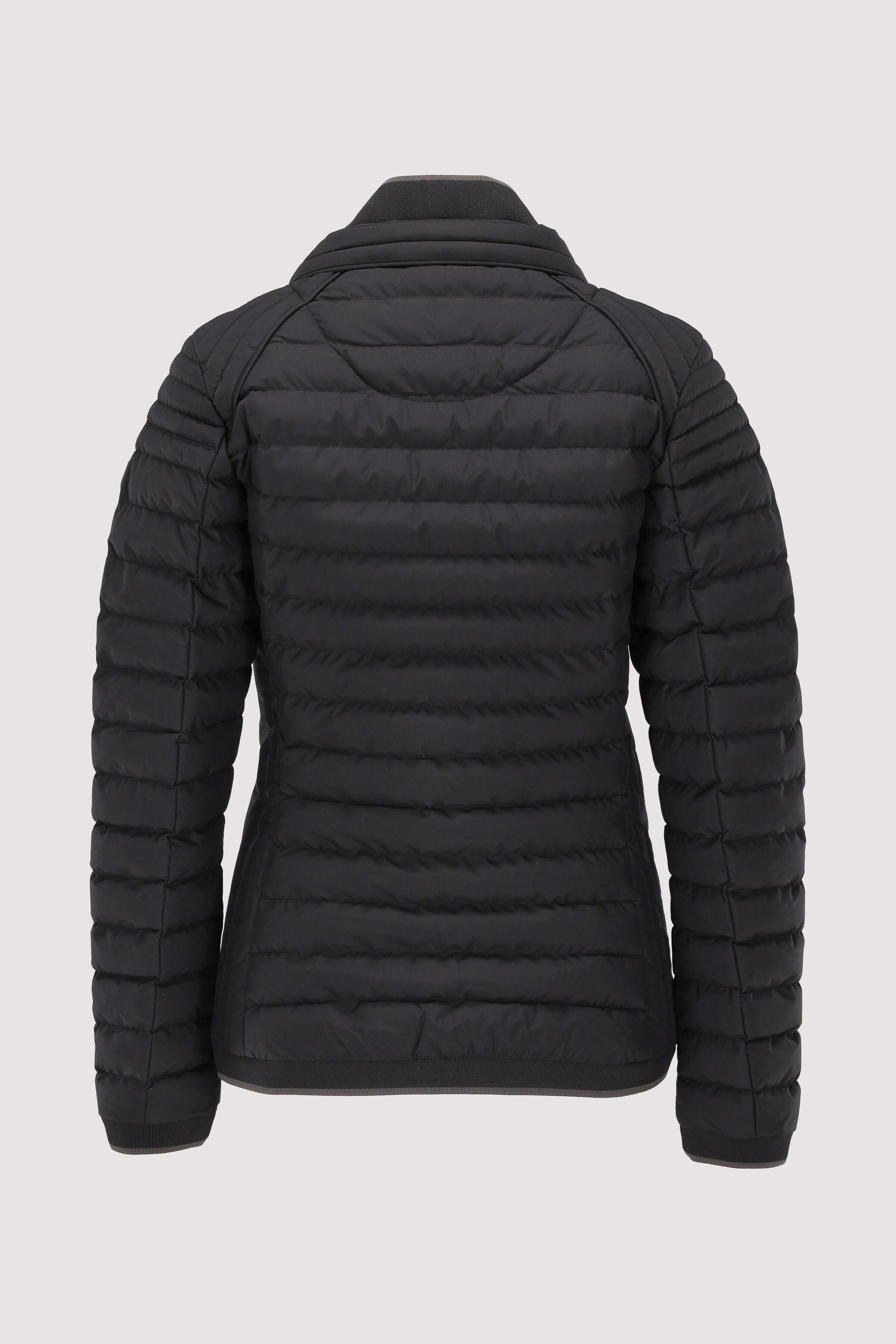 Wellensteyn - MOL Lady Wellensteyn - MOL Lady