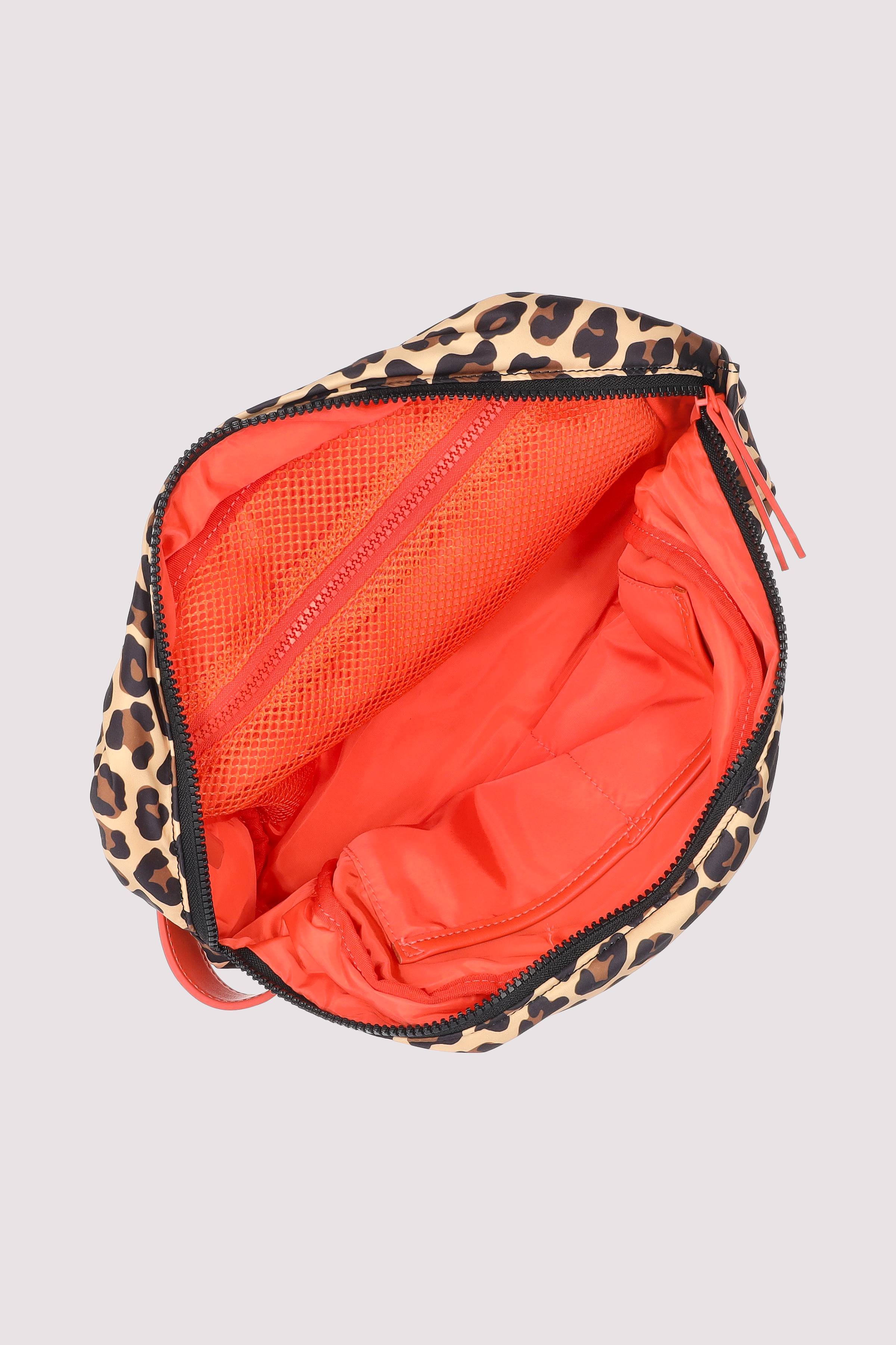 Les Visionnaires - Livignio Leo