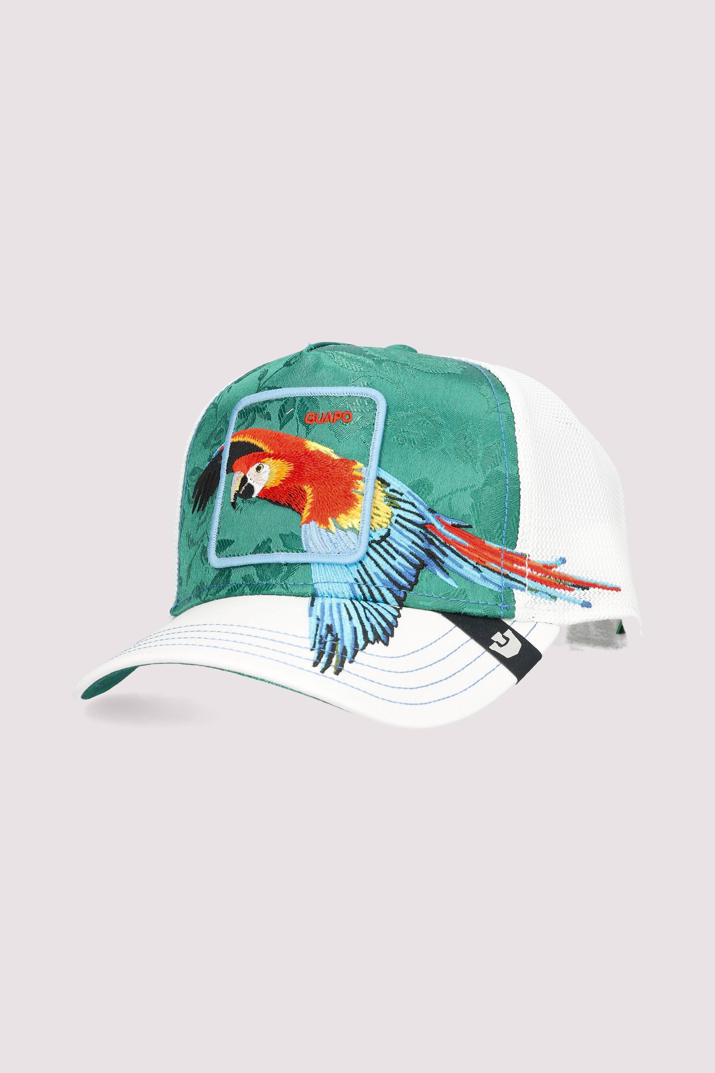 Honduras Macaw