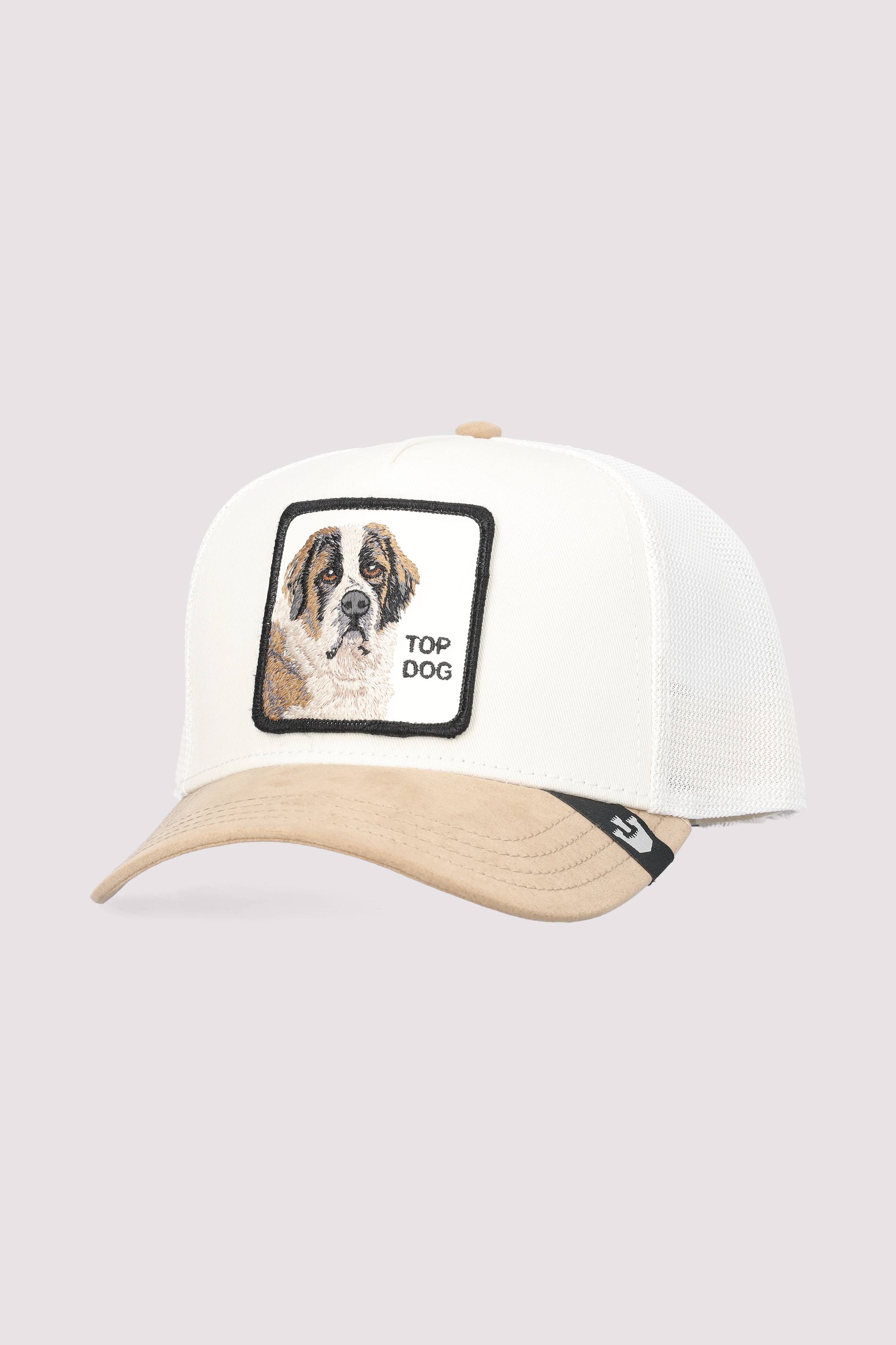 The Suede St. Bernard