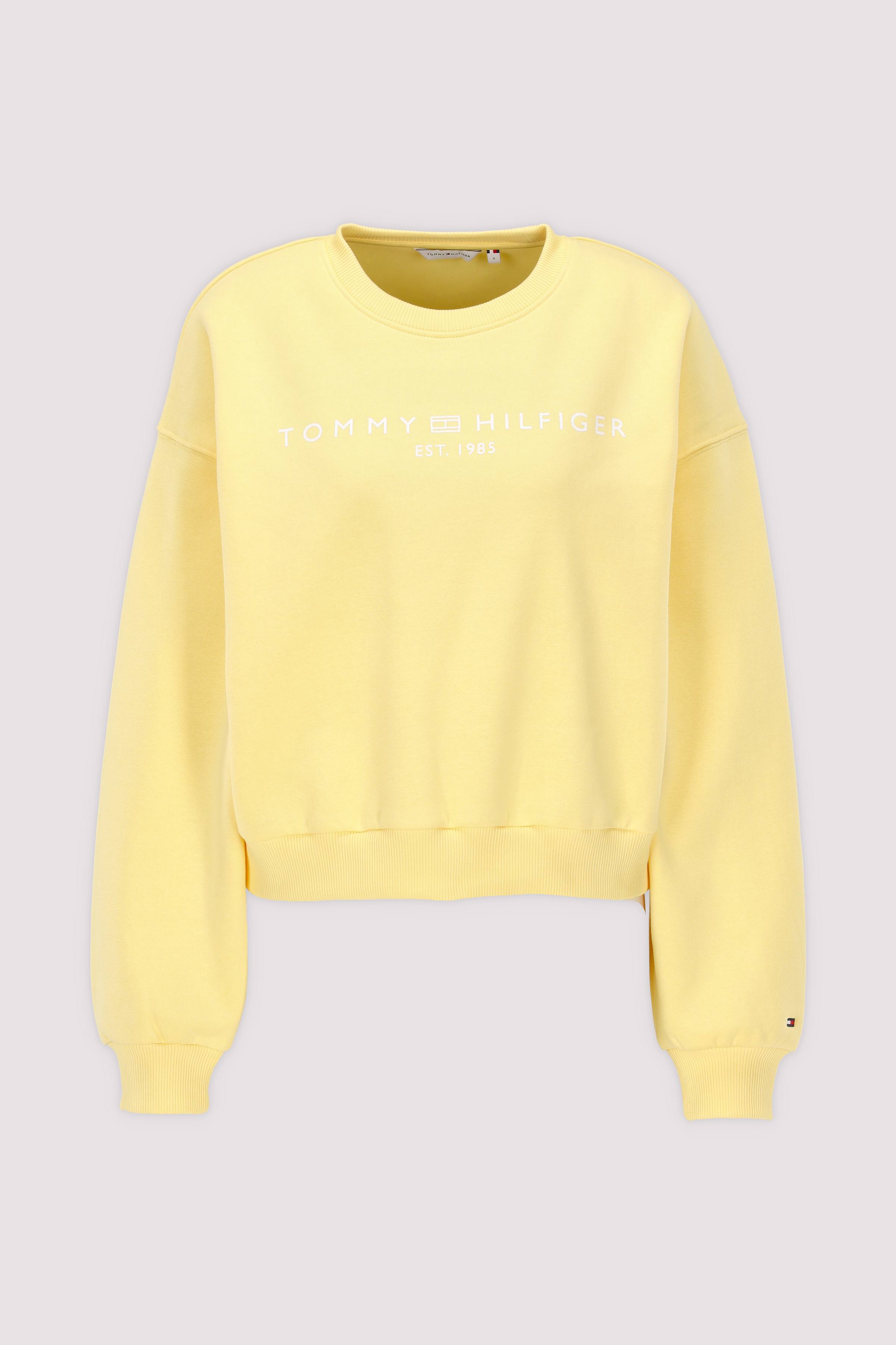 EXT CORP LOGO MDRN SWTSRT