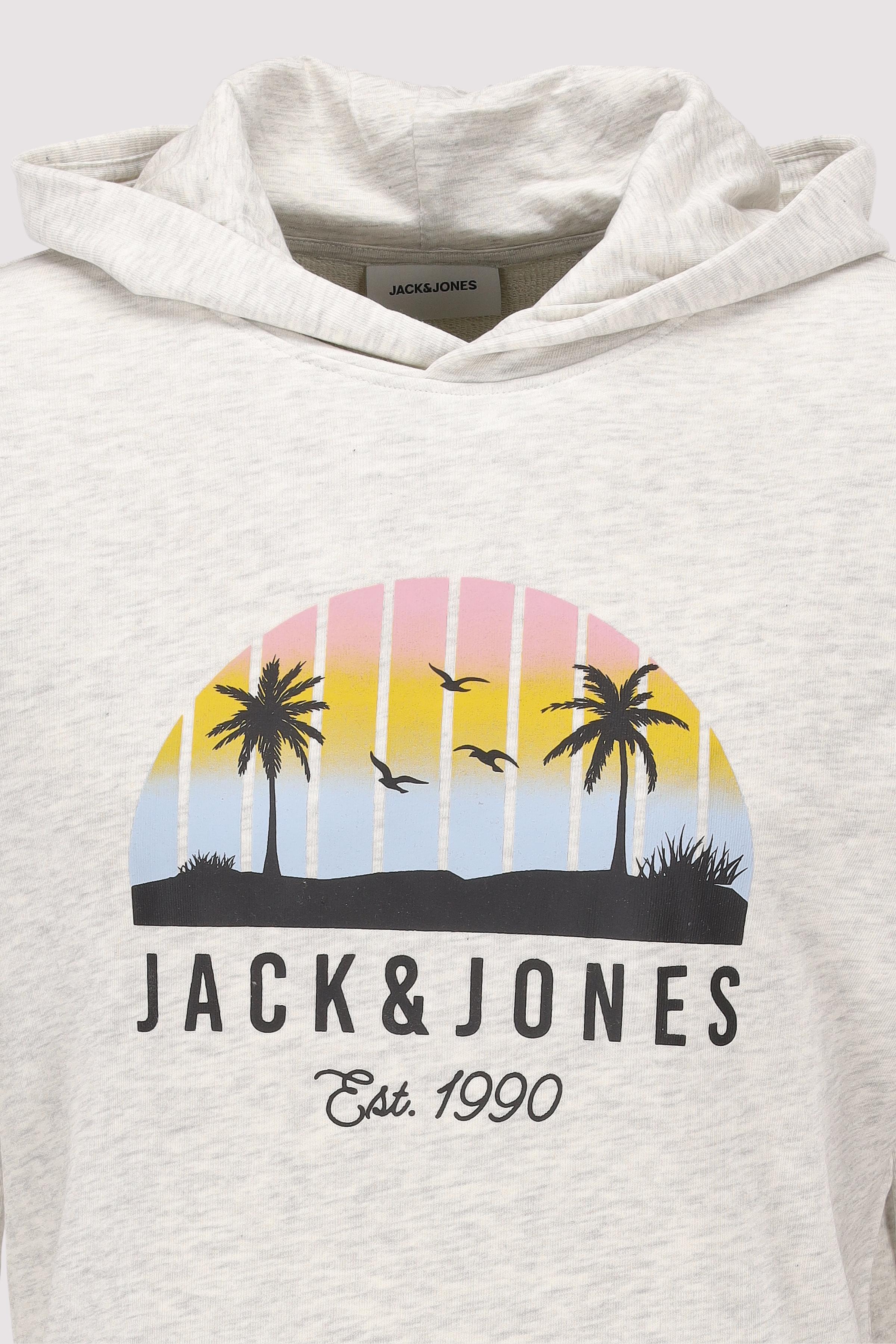 Jack and Jones - JJPALM SWEAT HOOD