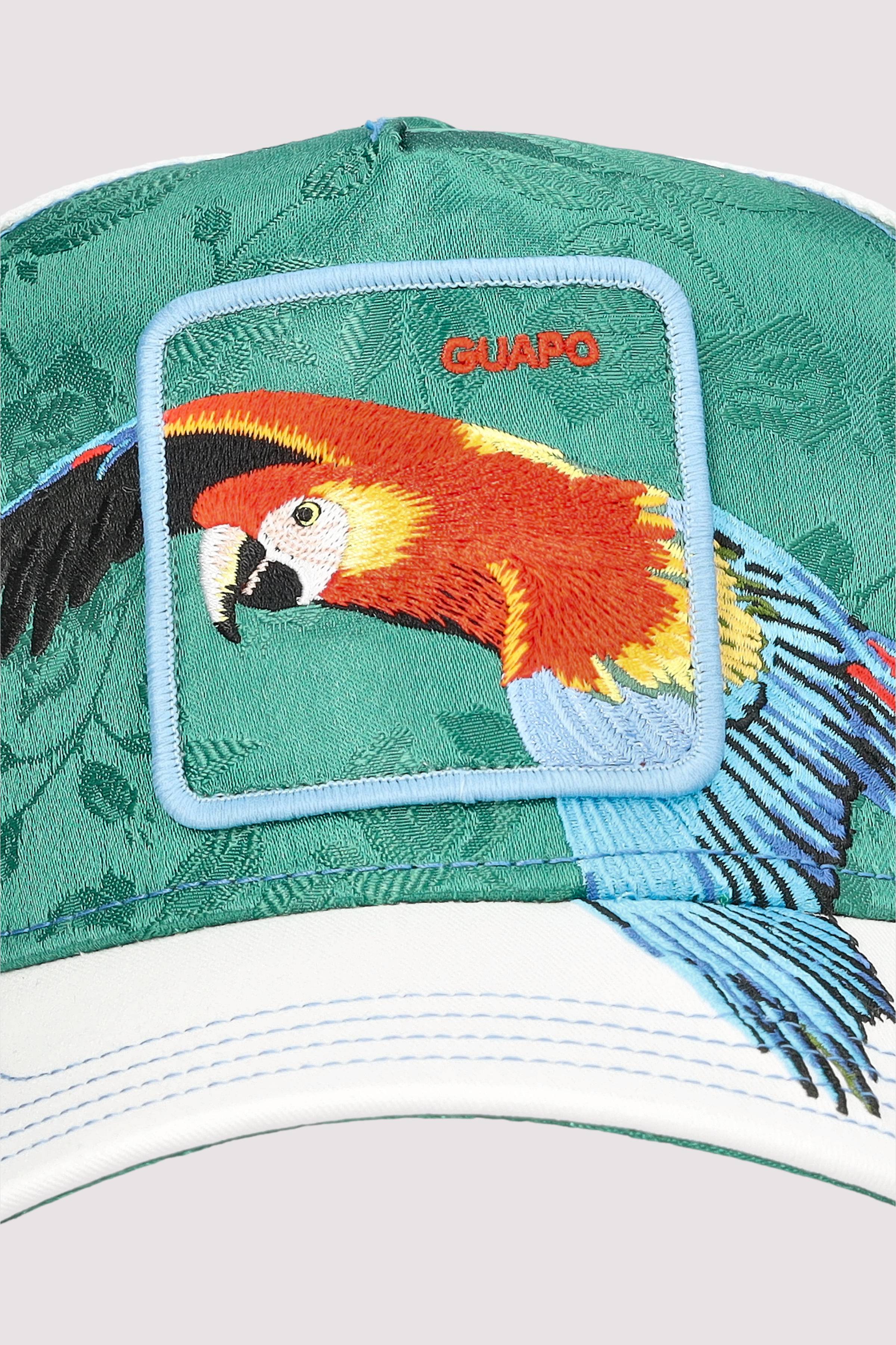 Honduras Macaw